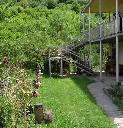 Marine'S Guest House Ananuri 외부 사진