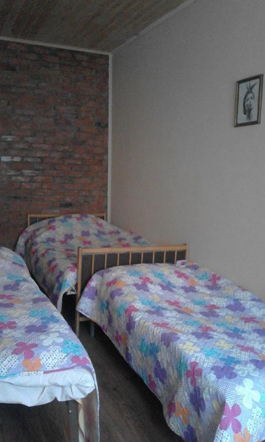 Marine'S Guest House Ananuri 외부 사진