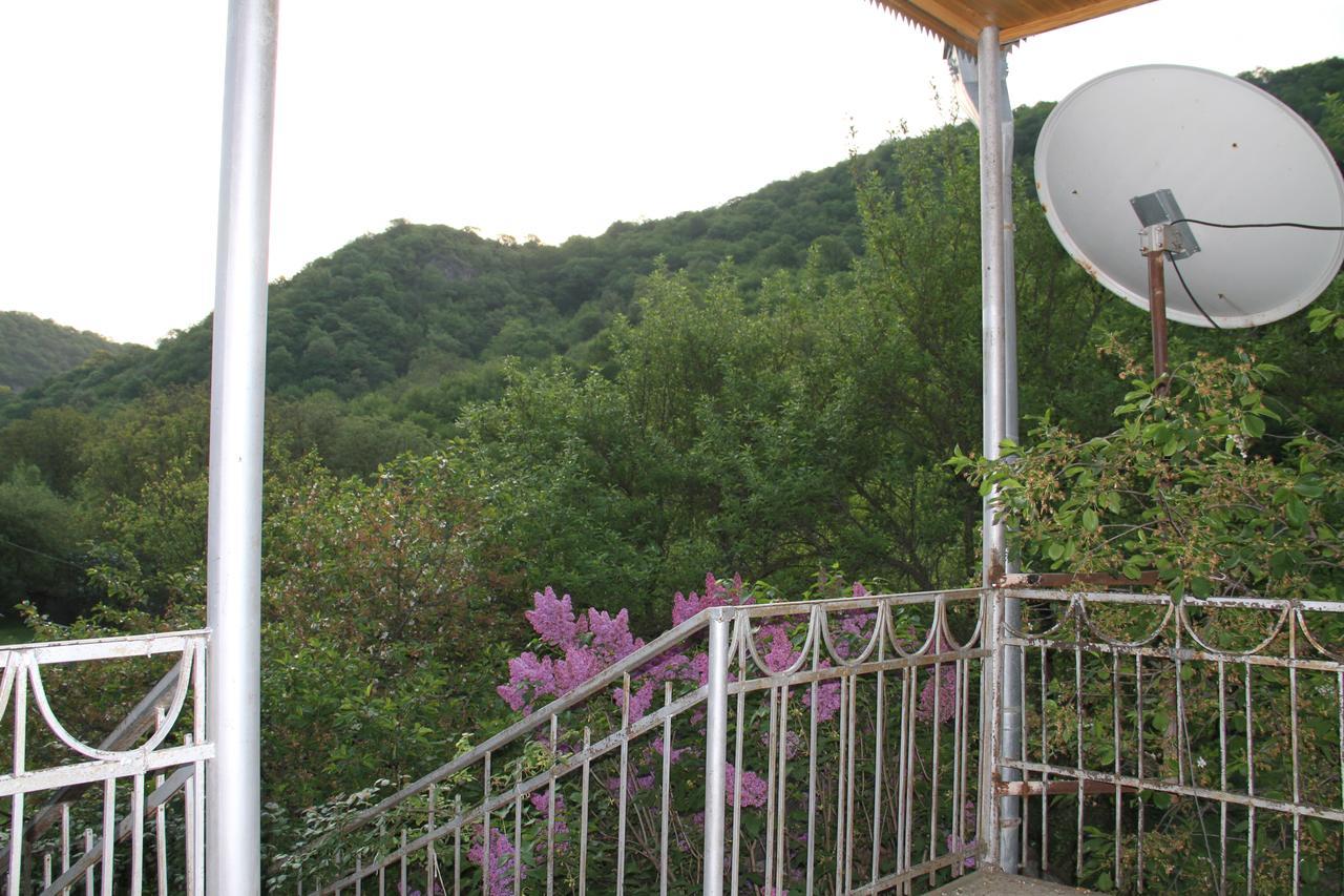 Marine'S Guest House Ananuri 외부 사진