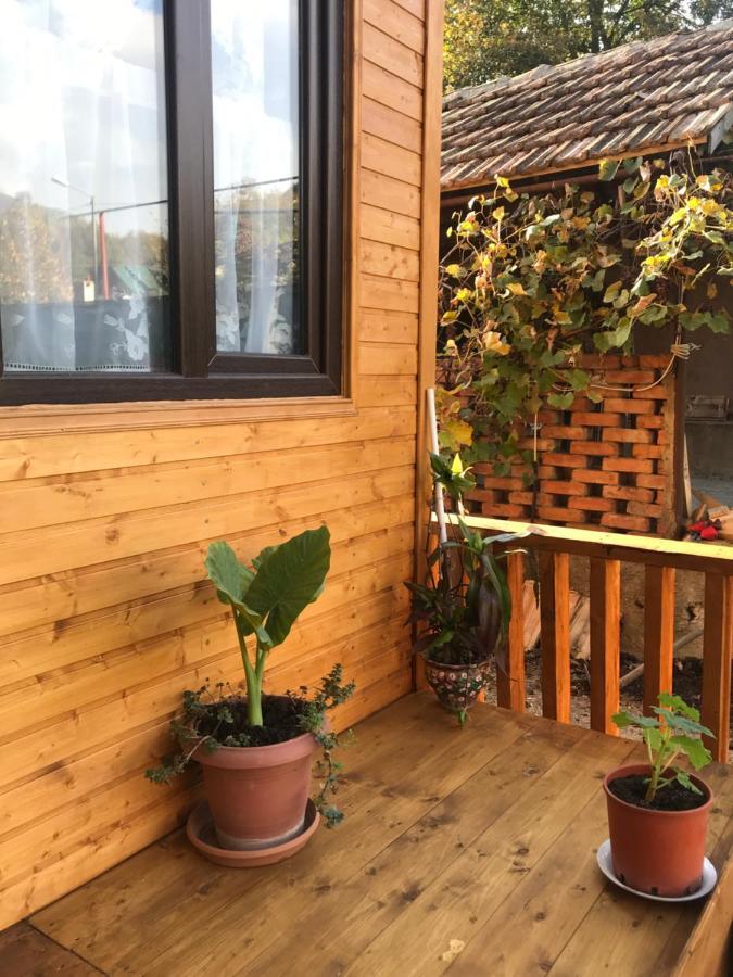 Marine'S Guest House Ananuri 외부 사진