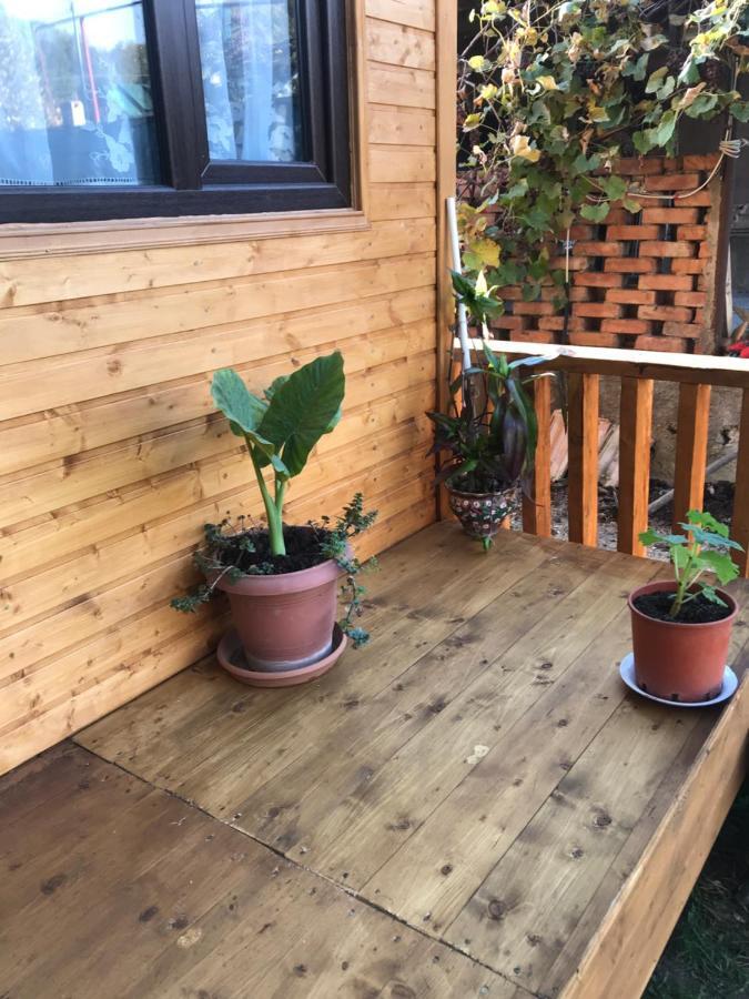 Marine'S Guest House Ananuri 외부 사진